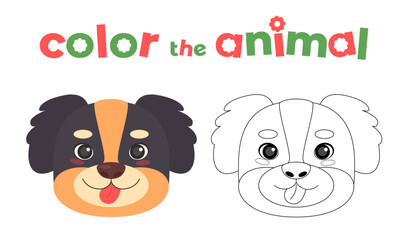 42 - Animals head coloring