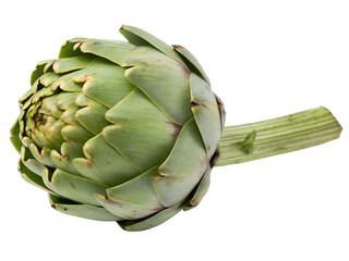 Fototapeta premium Close-Up of a Fresh Green Artichoke Isolated on transparent background cutout, PNG file, Cutout file