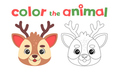 42 - Animals head coloring