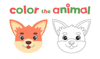 42 - Animals head coloring