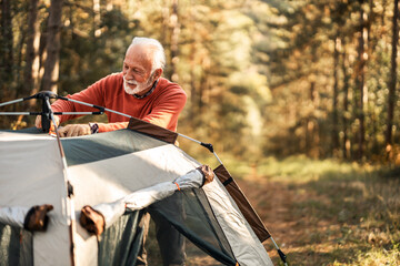 Older Man Setting Up Tent in Forested Camping Area