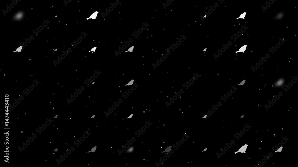 Poster template animation of evenly spaced bird sparrow symbols of different sizes and opacity. animation o