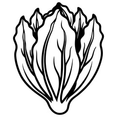 Endive Elegance – Minimalist Vector Art