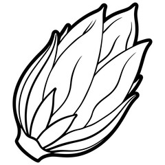 Endive Elegance – Minimalist Vector Art