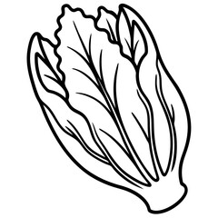Endive Elegance &ndash; Minimalist Vector Art