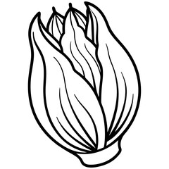 Endive Elegance – Minimalist Vector Art