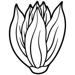 Endive Elegance – Minimalist Vector Art