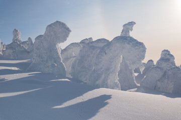 冬の風景