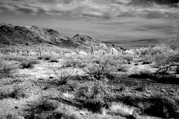 San Tan Mountains Sonora Desert Arizona Monochrome