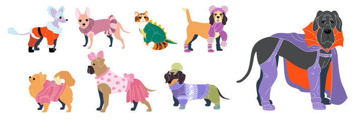 Dog cloth. Pets in winter clothing. Accessory dress. Doggy costume. Corgi shoes and coat for cold season. Apparel for friendly domestic animals. Sweater and jacket for cats. Vector canine clothes set