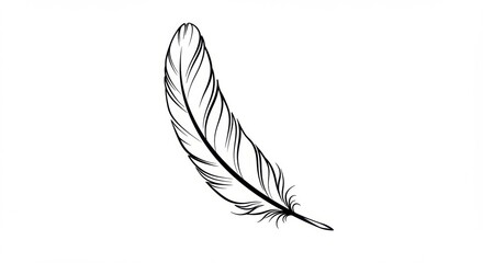 Elegant bird feather design perfect for your creative projects lightweight and graceful design
