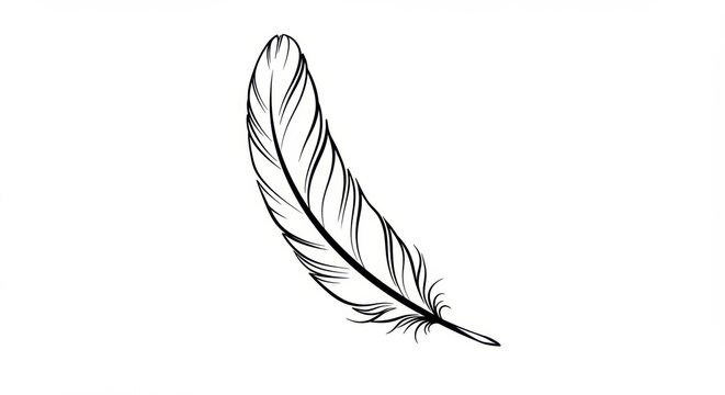 Elegant bird feather design perfect for your creative projects lightweight and graceful design