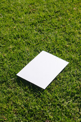 Mockup blank poster on green grass background