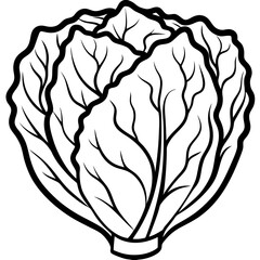 Minimalist Napa Cabbage Vector Art