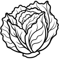 Minimalist Napa Cabbage Vector Art