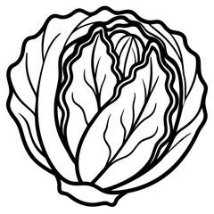 Minimalist Napa Cabbage Vector Art