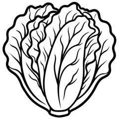Minimalist Napa Cabbage Vector Art