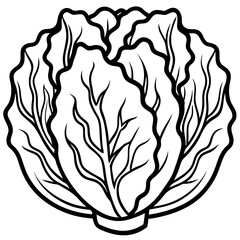 Minimalist Napa Cabbage Vector Art