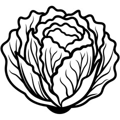 Minimalist Napa Cabbage Vector Art