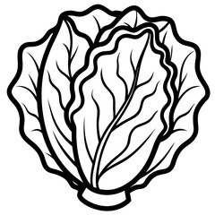 Minimalist Napa Cabbage Vector Art
