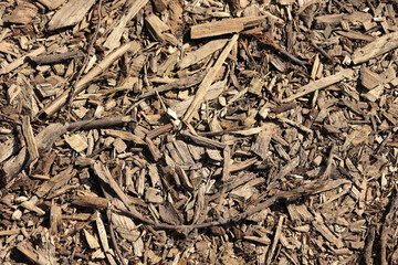 Overhead View Texture Background Of Natural Brown Wood Chips And Shredded Bark Used As Mulch Or Ground Cover In Gardening And Landscaping. Organic Material.