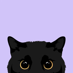 Hiding and peeking black cat with big yellow eyes. Vector illustration