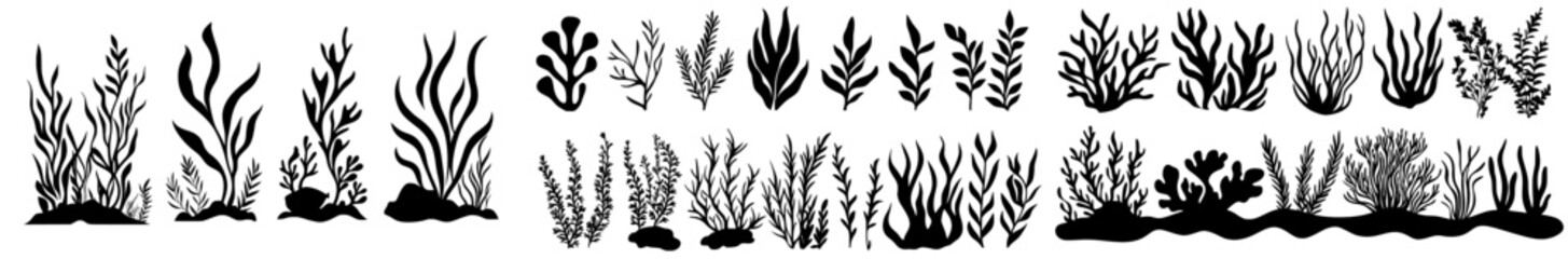The underwater world of modern oceans features an array of plants, including seaweeds, sea coral reef, kelp, and sponge silhouettes, alongside a collection of sea weeds, grass, algae, corals,