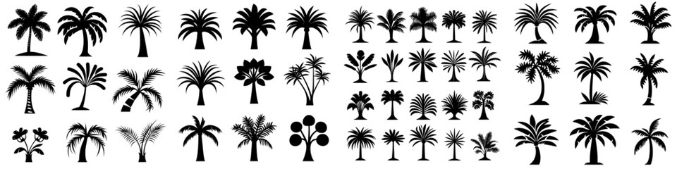 A modern set of tropical palm tree icons is presented in silhouette form on a white background