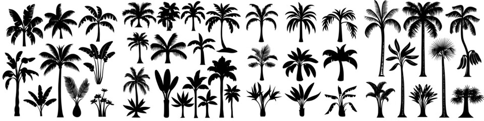 Modern silhouettes of tropical palm trees isolated on a white background