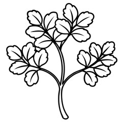 Elegant Watercress Vector Illustration