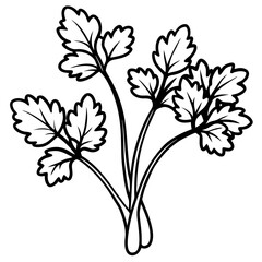 Elegant Watercress Vector Illustration