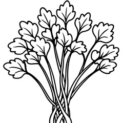 Elegant Watercress Vector Illustration