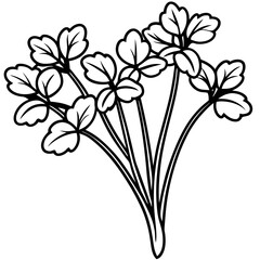 Elegant Watercress Vector Illustration