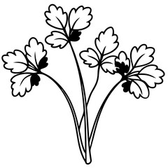 Elegant Watercress Vector Illustration