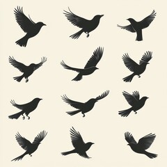 Fototapeta premium Various silhouettes of birds in flight against a soft background showcasing different wing positions and styles