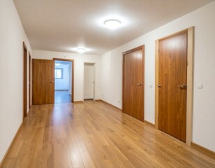 Interior View of a Modern Hallway Featuring Wooden Doors and Flooring