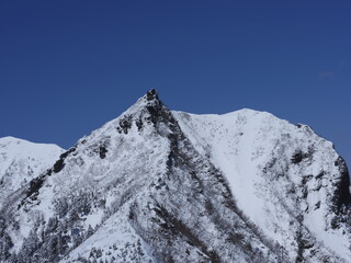 権現岳