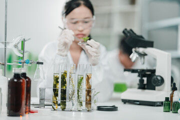 Scientists examining plant and algae samples in a modern laboratory, conducting pharmaceutical...