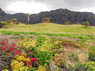 Landscape in Tenerife island from Spain in Springtime