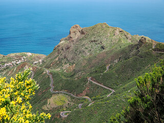 Landscape in Tenerife island from Spain in Springtime