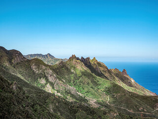 Landscape in Tenerife island from Spain in Springtime