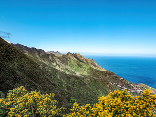Landscape in Tenerife island from Spain in Springtime