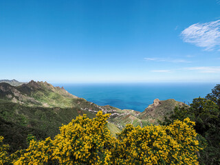 Landscape in Tenerife island from Spain in Springtime