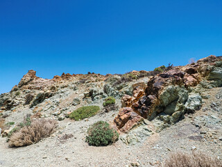 Landscape in Tenerife island from Spain in Springtime