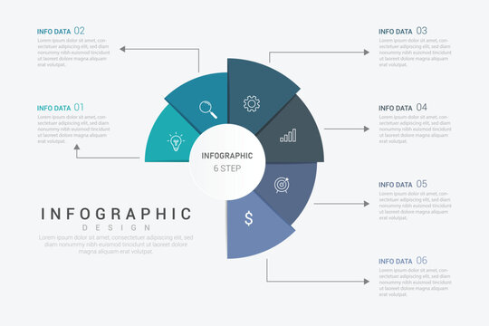 Modern minimalist elegant clean circular 6 steps editable infographic design template vector