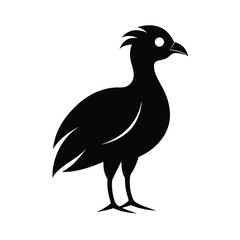 vector illustration of a bird