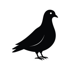 dove black head silhouette 