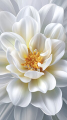 Obraz premium A digitally rendered close-up showcases the delicate beauty of a pristine white dahlia flower with a vibrant yellow center, creating a serene and elegant artwork.
