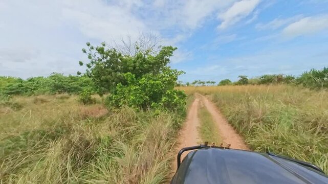 4WD bush bashing near Weipa., Queensland, outback Australia, adventure exploration travel tourism