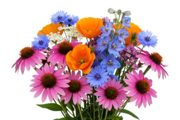 Colorful mixed wildflower bouquet with coneflower, delphinium, gerbera, daisy isolated on white background. Vibrant floral arrangement studio shot, summer garden gift.